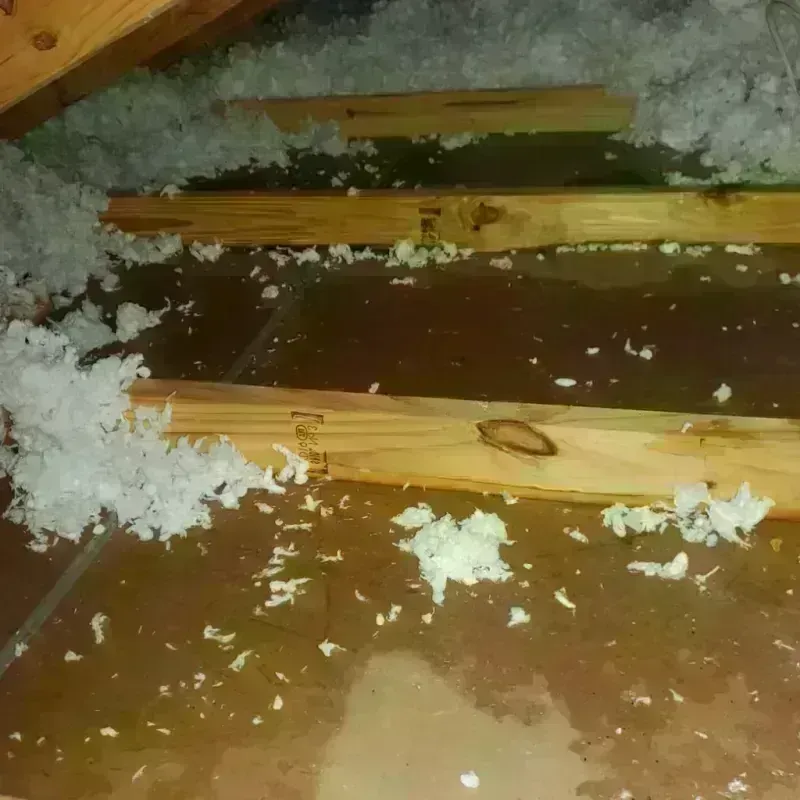 Attic Water Damage in Northfield, MA